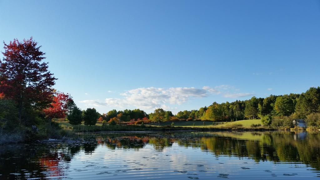 Barry'S Bay Golf Resort Barrys Bay Zewnętrze zdjęcie